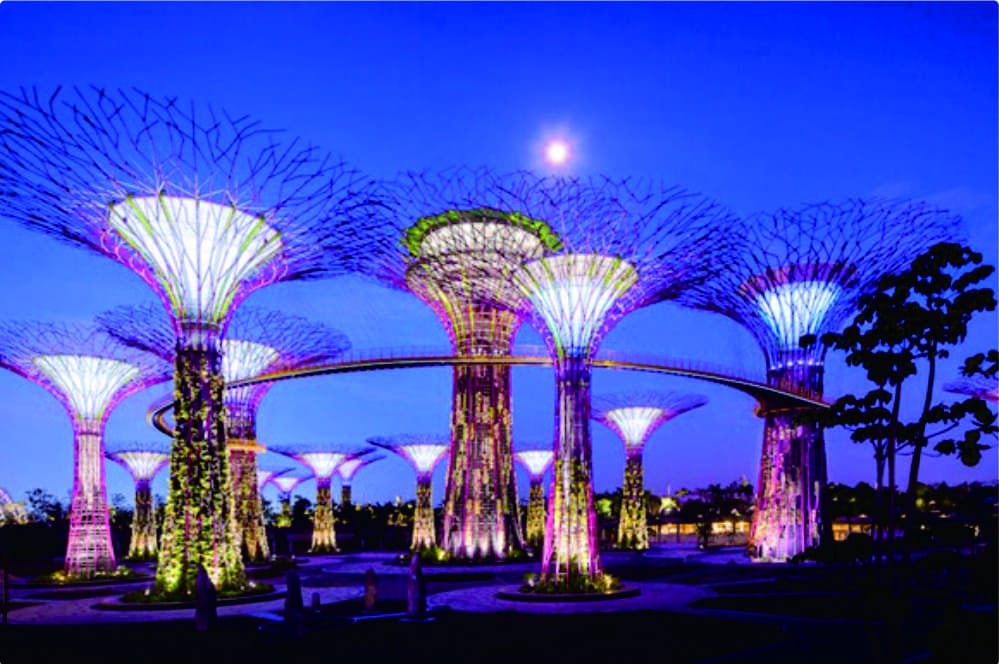 Garden by the bay